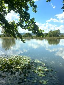 Ranchoto Guest House Cozy Lake and Nature Escape