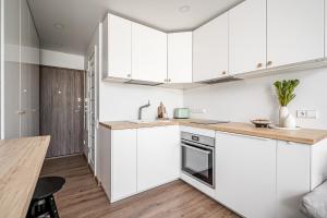 Stylish Studio in Central Vilnius I