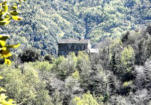 Maison de charme avec vue, au coeur du maquis