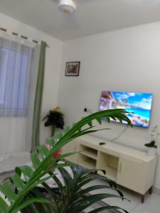 Havy Homes