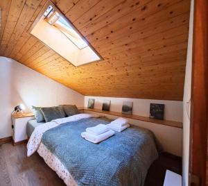 Ski-in Mountain View & Comfort for 6 guests