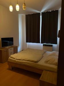 Bright Room in Shared Apartment Letna Near Prague City Center
