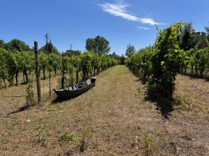B&B La Vigna dei Fratelli