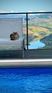 Casa Vale do Douro