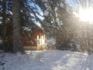 Cozy wooden chalet