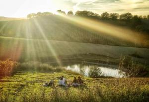 Wine Resort Colsereno