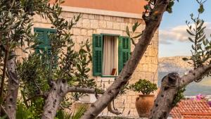 Cozy Guest House Kamenita