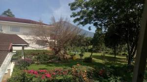 BTMINDAHaa