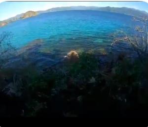 Private Island & Diving Center in Palawan