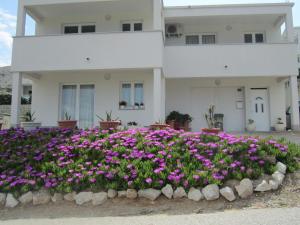 Sea View Apartment in Pag Dalmatia, Crotia