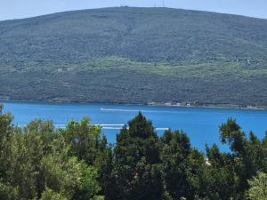 Nirvana on the hill , 3 bedroom apartment with balcony and garden with BBQ