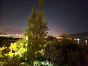 Nirvana on the hill , 3 bedroom apartment with balcony and garden with BBQ