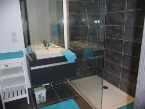 Appartements Le Rive Gauche : photos des chambres