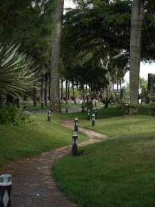 Amavi Vườn Trà