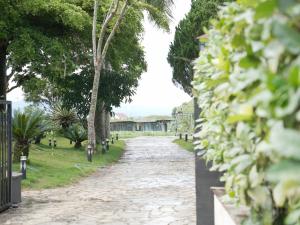 Amavi Vườn Trà