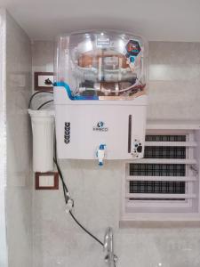 DhruvDhanush 2 -The ECO friendly house