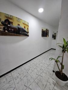 Casa Arquitectónica centro de la cuidad
