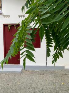Lathu - zen Stay Hotal