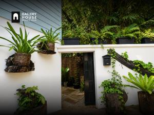Gallery House - Artistic Villa with Plunge Pool