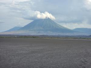 Maasai village homestay