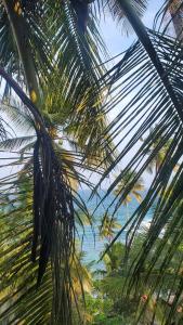 Rocky Point Beach Front Pool Resort