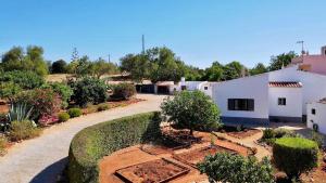 Quinta do Coala - Spacious Countryside Orchard Escape, 10 min from Lagos