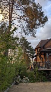 Sosnowa Polana Białowieża