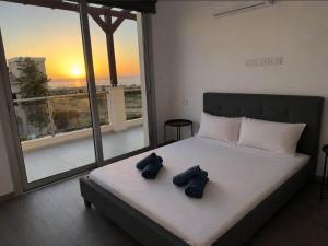 Seaview Villa with Pool and Rooftop Terrace