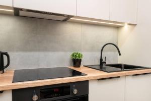 Charming Pet-Friendly Apartment with Terrace by Noclegi Renters