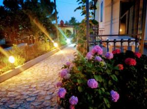 Apartment Amore