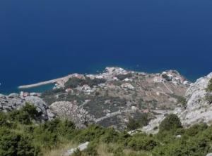 Olive Grove Apartment