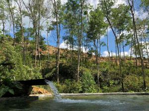 Achinthya Nature Resort