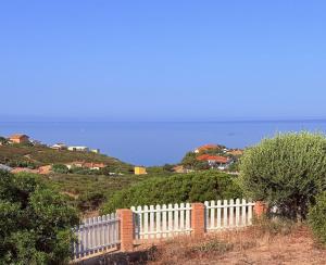 Sunsethouse Pistis img16