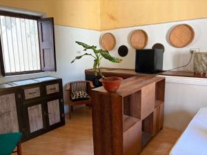 The Mikoko Studio