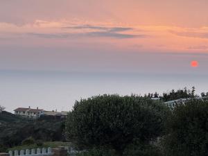 Sunsethouse Pistis img14