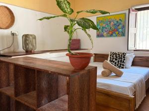 The Mikoko Studio