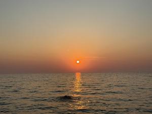 Sunsethouse Pistis