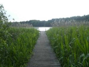 APPEL-HUUS direkt am See