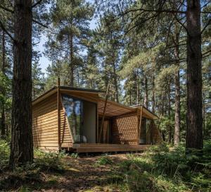 La forêt PALOMA, Ecolodge