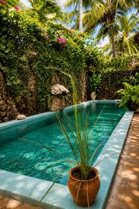 Watamu Oasis