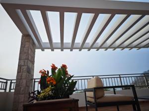 Adriatic Apartment
