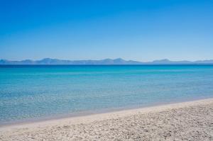 Ideal Property Mallorca - Can Pintat