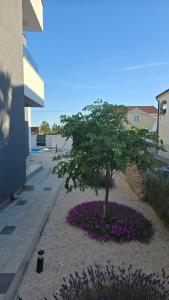 Villa Rosa - Luxury Apartments