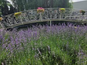 FLORA Garden