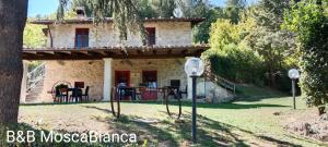 B&B Mosca Bianca