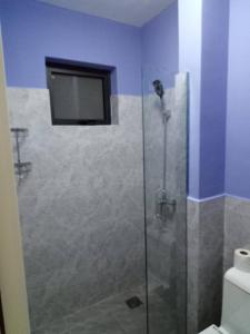 Ann Studios