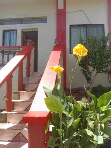 5 bed room Family House in Boracay Bella vista