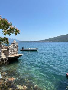 Montenegro Apartments