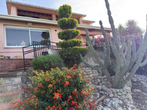 Golden Hour Villa