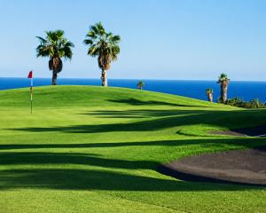 Golf Park Sunny Cozy Penthouse near the Ocean with large double terraces, fiber WIFI, 3 pools, NEW bbq South Tenerife